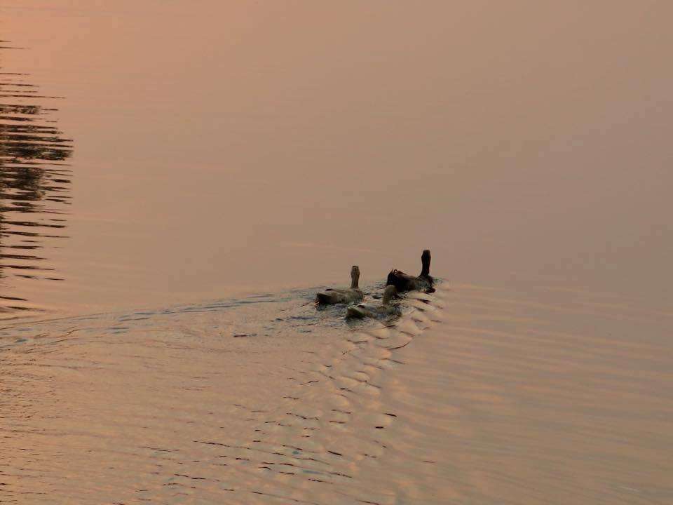 Luvi Lucas River Side ウェリガマ エクステリア 写真
